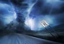 الرياح الشديدة في ساراسوتا تسبب في تحطم واجهات المباني الزجاجية على سواحل فلوريدا Arabesch - أخبار عربية في أوروبا