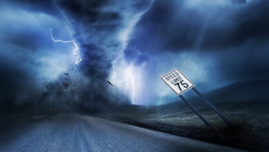 الرياح الشديدة في ساراسوتا تسبب في تحطم واجهات المباني الزجاجية على سواحل فلوريدا Arabesch - أخبار عربية في أوروبا