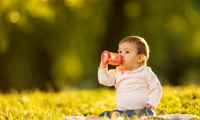 فوائد وأضرار شرب اليانسون للرضع: ما يجب أن يعرفه كل والد